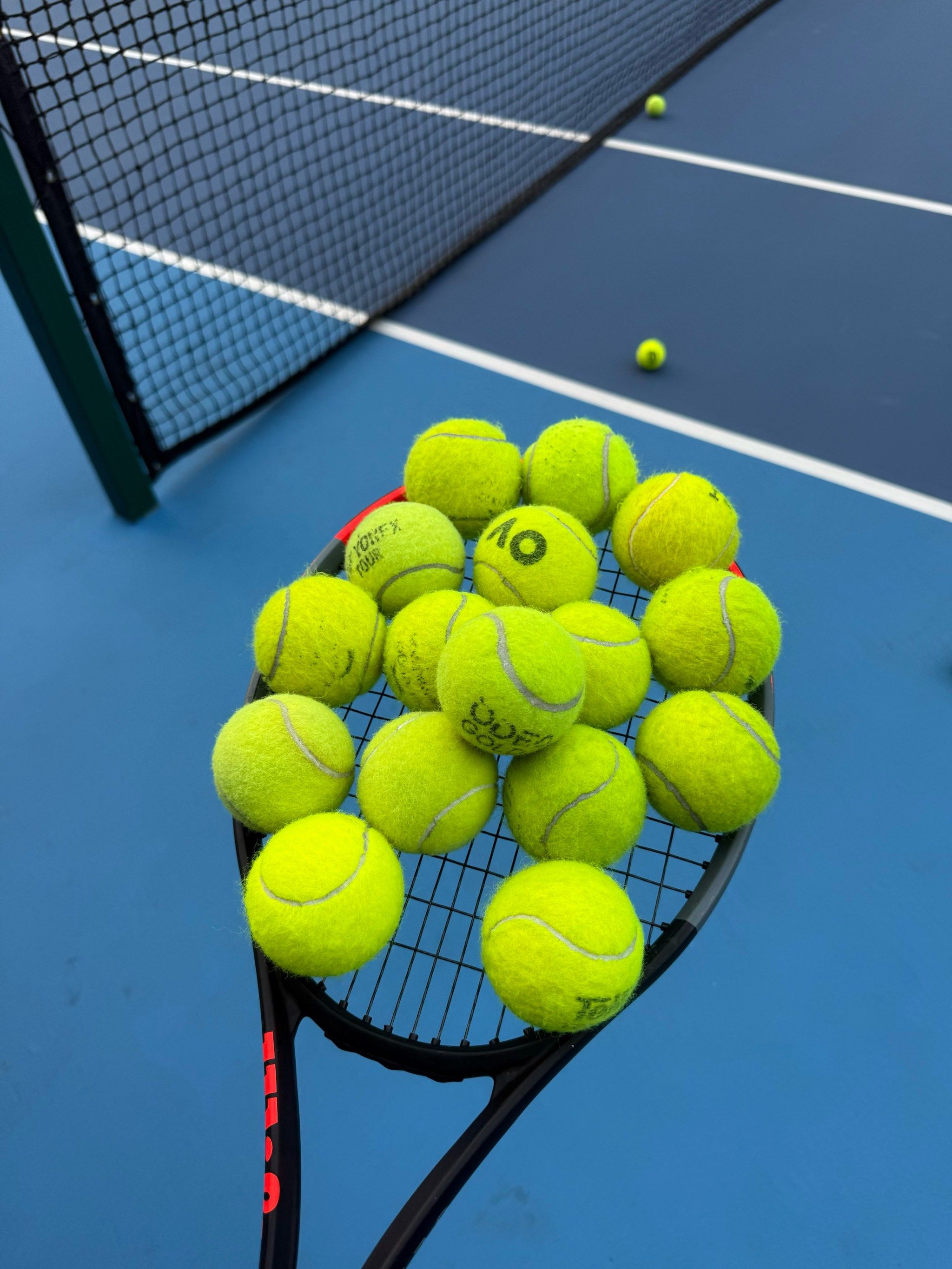 了自己在英 了自己在英